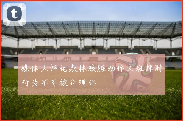 媒体人评论森林狼脏动作文班挥肘行为不可被合理化