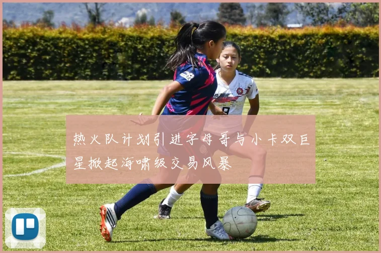 热火队计划引进字母哥与小卡双巨星掀起海啸级交易风暴